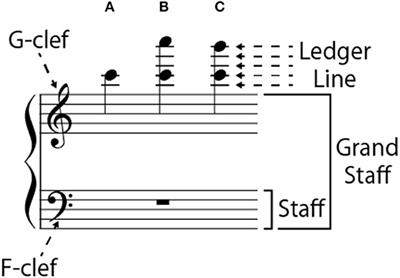 Visual Information Pianists Use for Efficient Score Reading